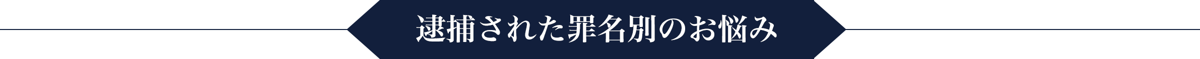 逮捕された罪名別のお悩み